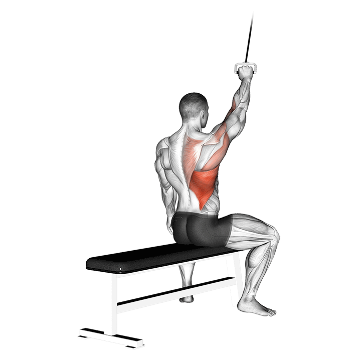 Alternate Lateral Pulldown demonstration