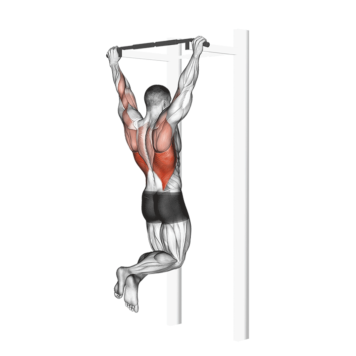 Archer Pull Up demonstration