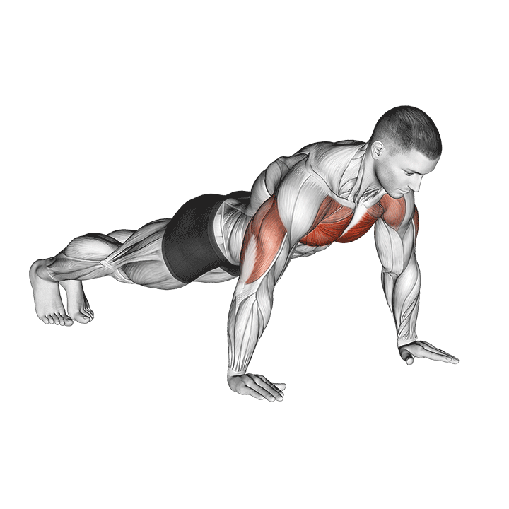 Archer Push Up demonstration