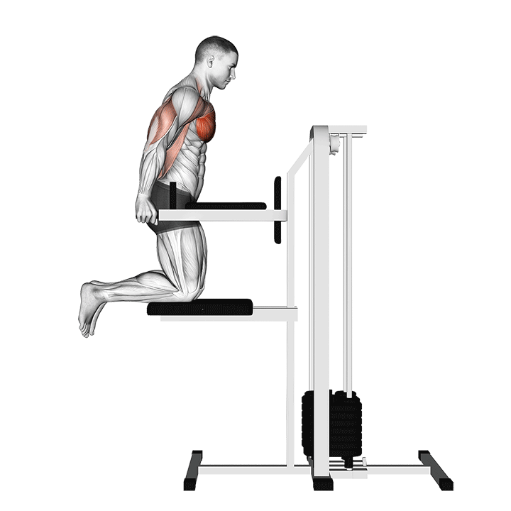Assisted Chest Dip (Kneeling) demonstration