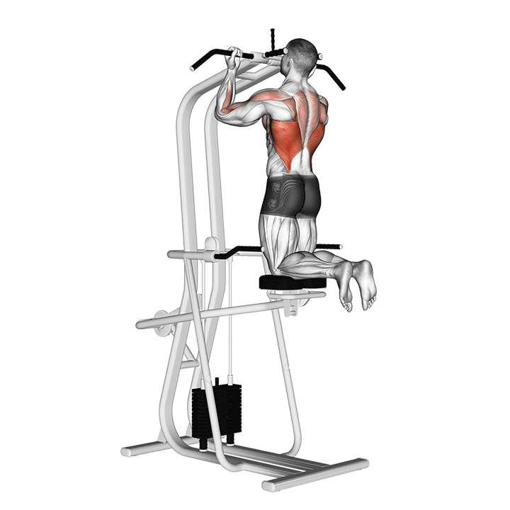 Assisted Standing Chin-Up demonstration