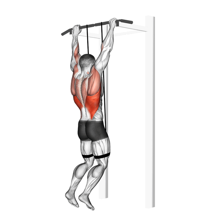 Band Assisted Pull-Up demonstration