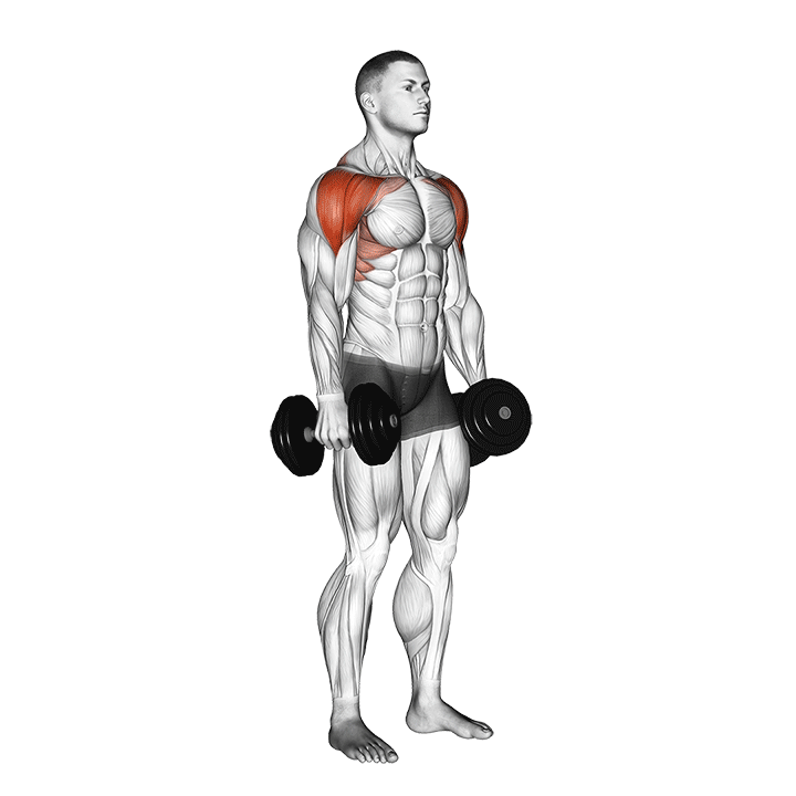 Band Front Lateral Raise demonstration