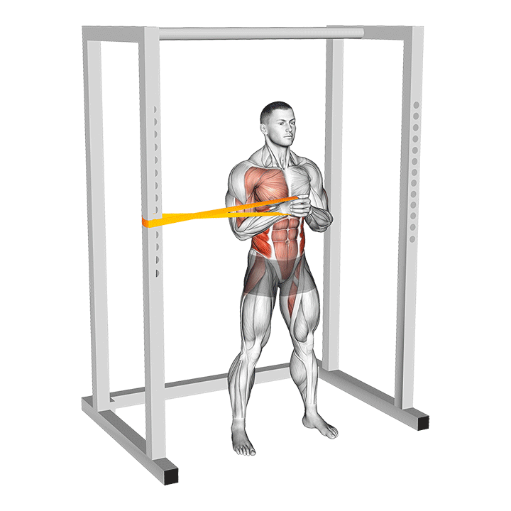 Band Horizontal Pallof Press demonstration