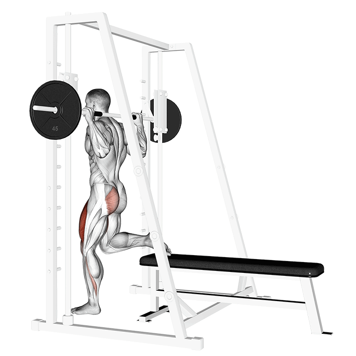 Band Single Leg Split Squat demonstration