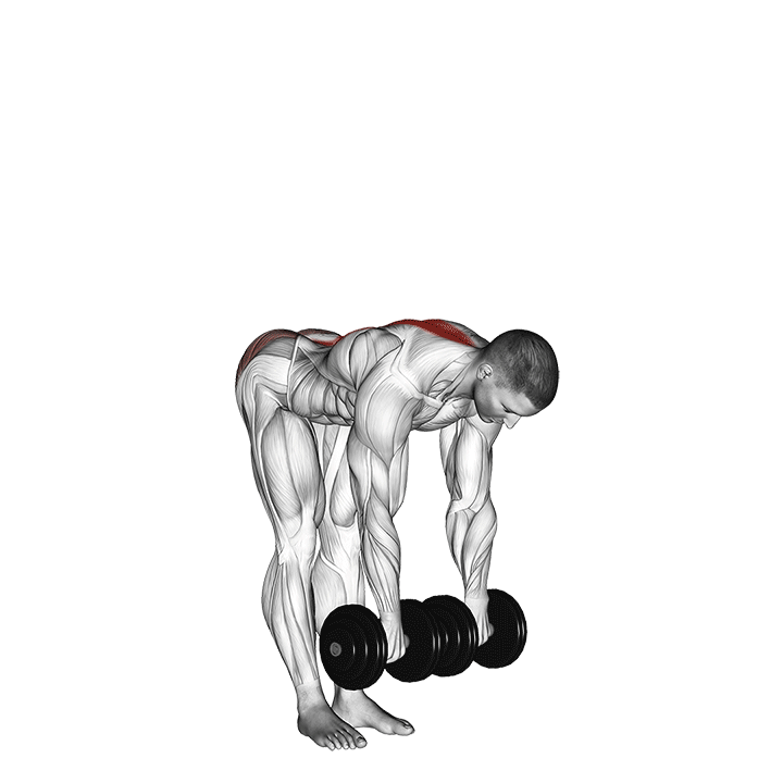 Band Straight Leg Deadlift demonstration