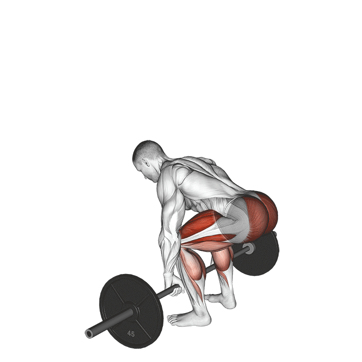 Barbell Deadlift demonstration