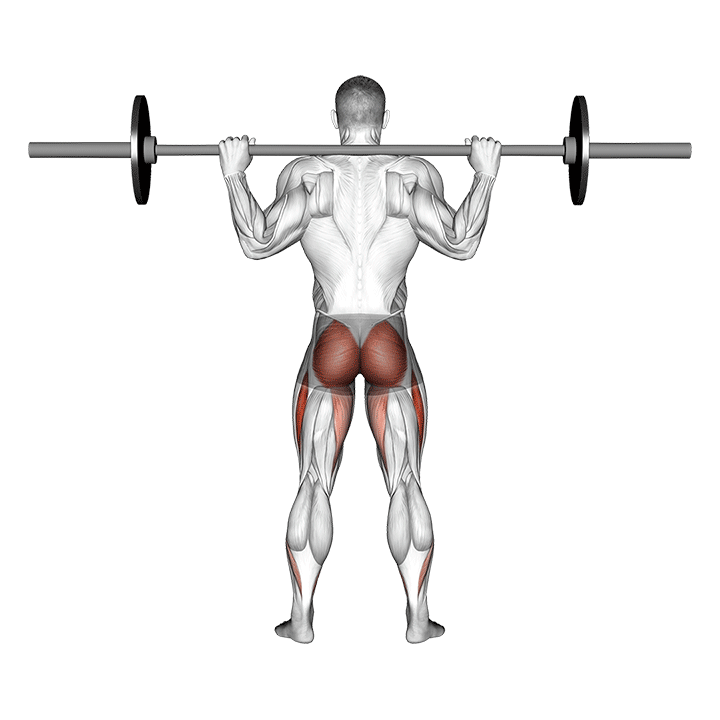 Barbell Full Squat (Back Pov) demonstration
