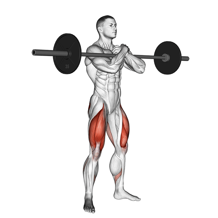 Barbell Full Zercher Squat demonstration