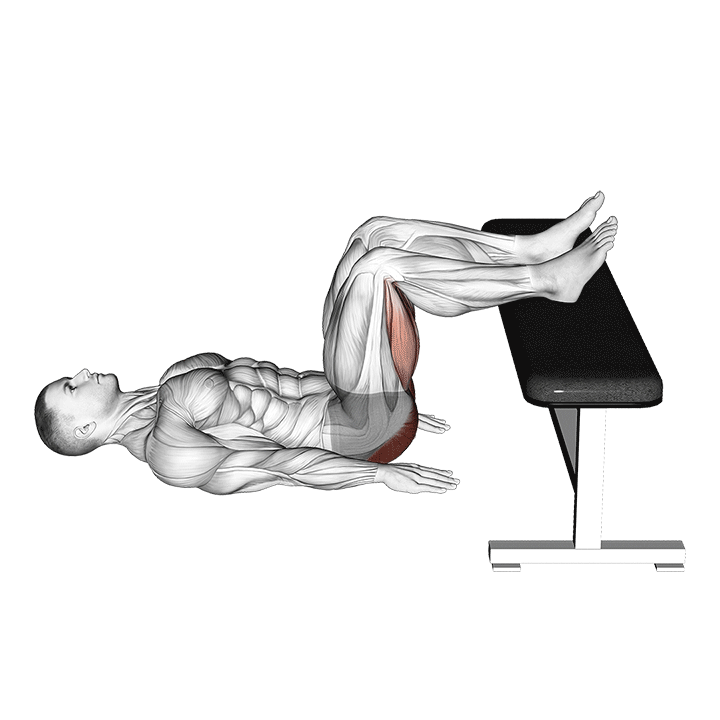 Barbell Glute Bridge Two Legs On Bench (Male) demonstration