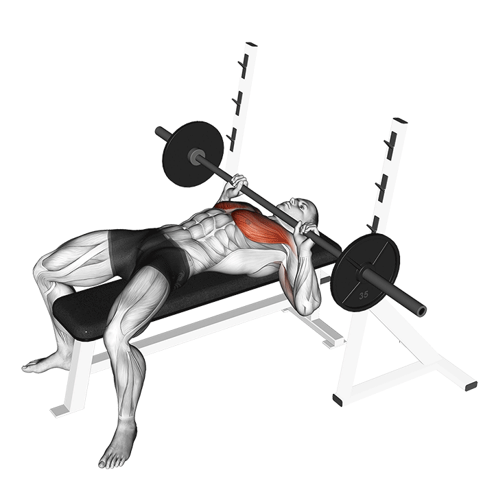 Barbell Guillotine Bench Press demonstration