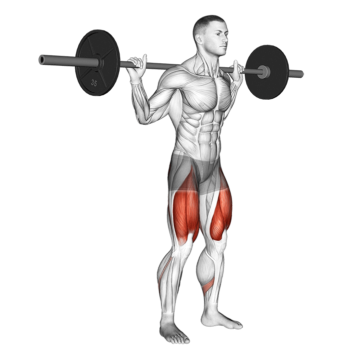 Barbell High Bar Squat demonstration