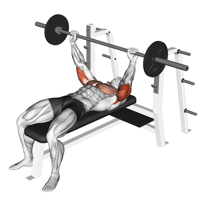 Barbell Pin Presses demonstration