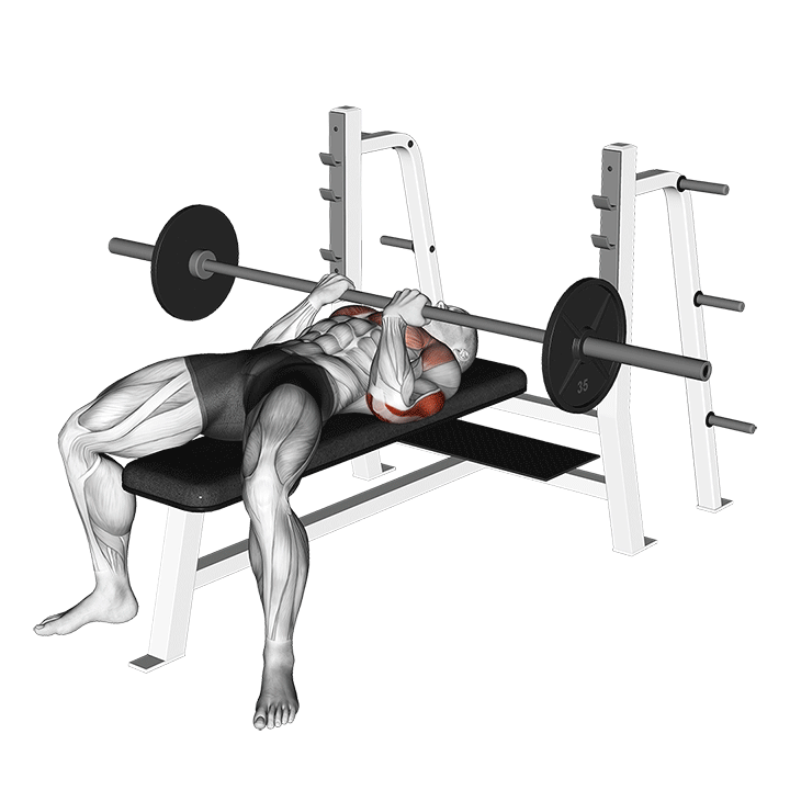 Barbell Reverse Close-Grip Bench Press demonstration