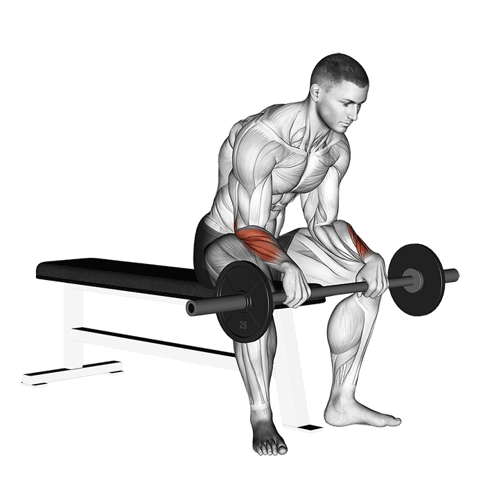 Barbell Reverse Wrist Curl demonstration