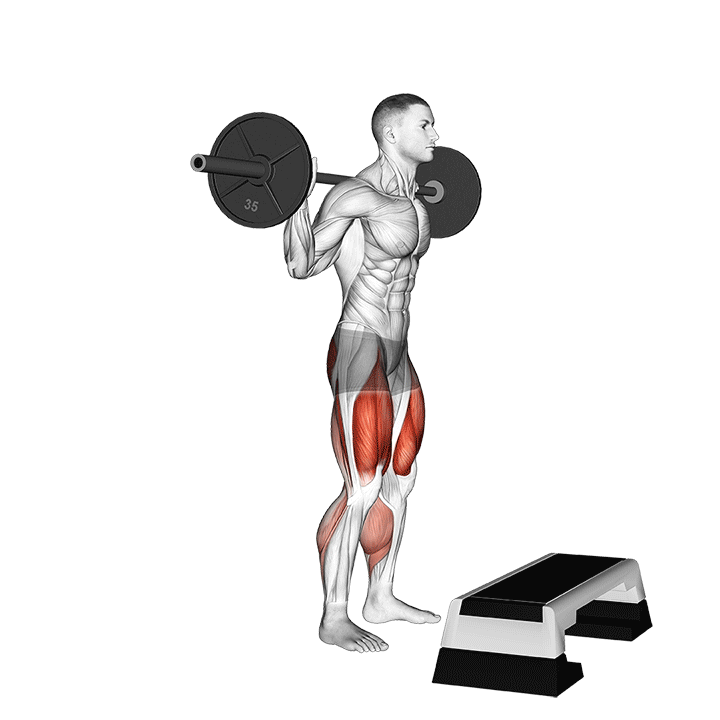 Barbell Squat Jump Step Rear Lunge demonstration