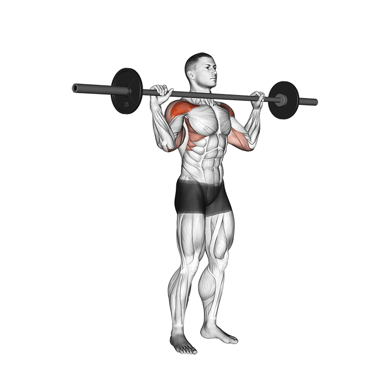 Barbell Standing Bradford Press demonstration