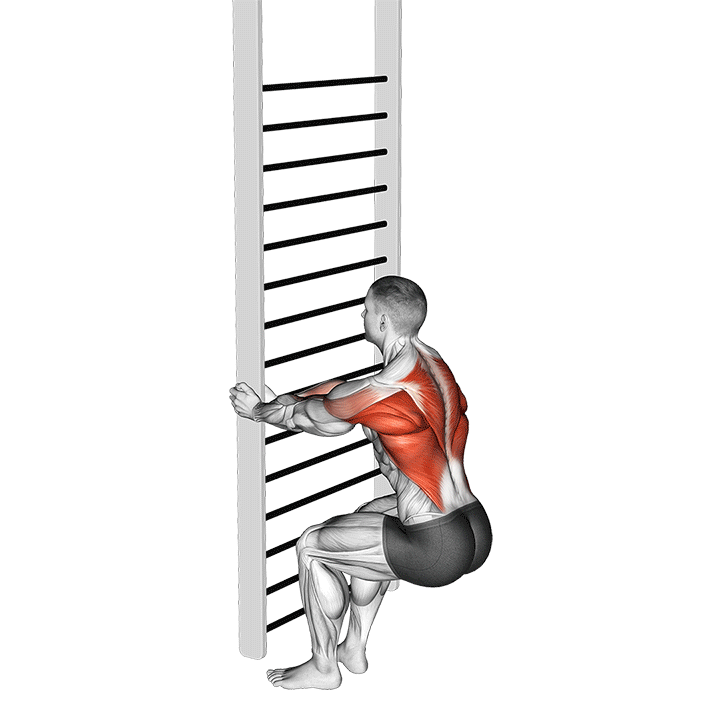 Bodyweight Squatting Row demonstration