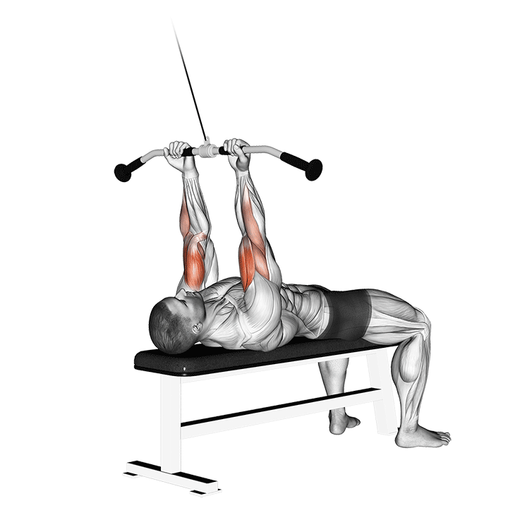 Cable Close Grip Curl demonstration