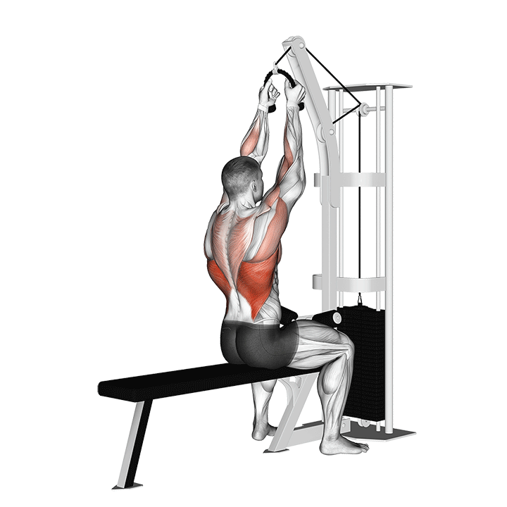 Cable Lateral Pulldown (With Rope Attachment) demonstration