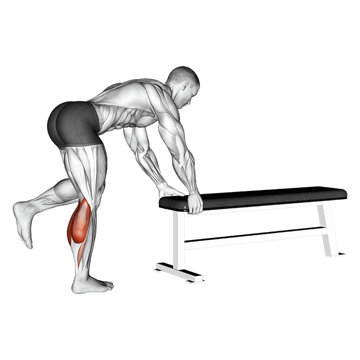 Donkey Calf Raise demonstration