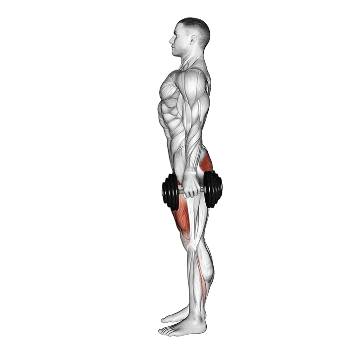 Dumbbell Goblet Squat demonstration