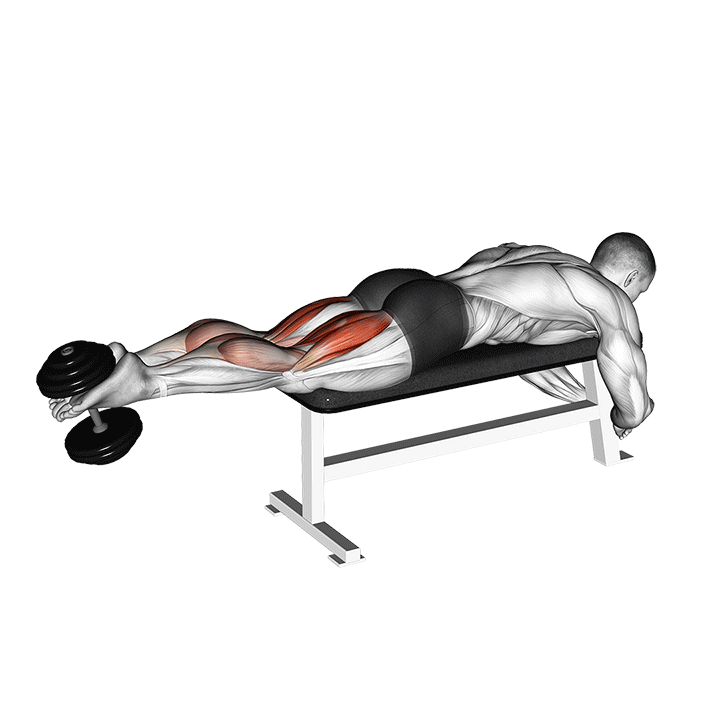 Dumbbell Lying Femoral demonstration