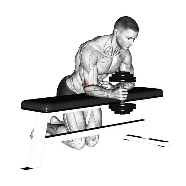 Dumbbell Over Bench One Arm Wrist Curl demonstration