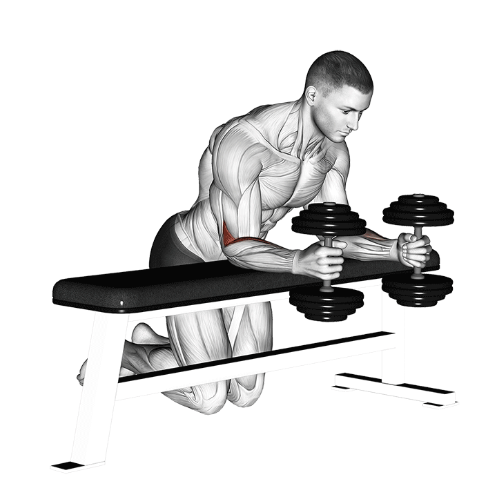 Dumbbell Over Bench Wrist Curl demonstration