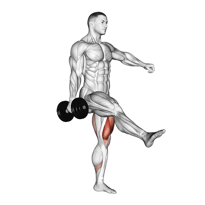 Dumbbell Single Leg Split Squat demonstration