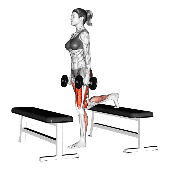 Dumbbell Step-Up Lunge demonstration