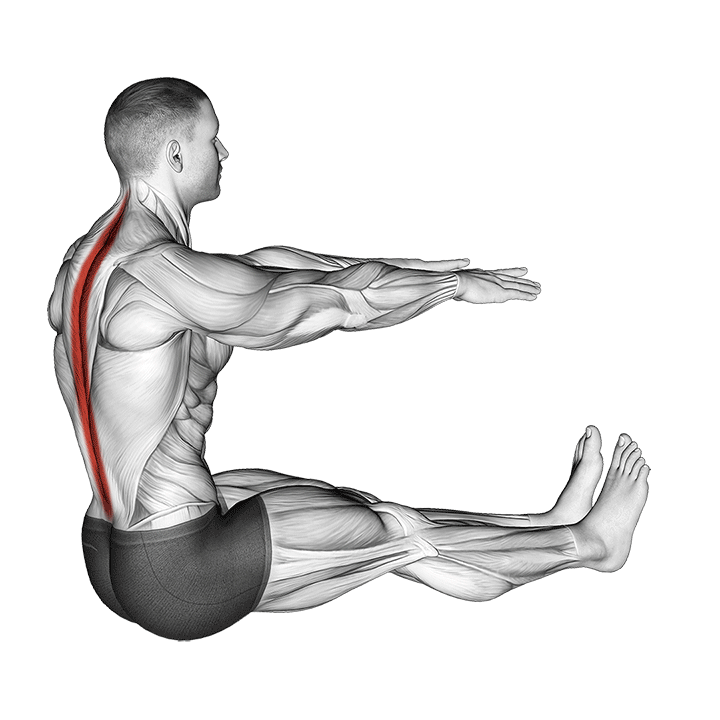 Spine Stretch demonstration